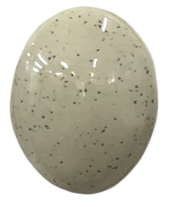 Northcote Brushable Glaze BMG420L Electric Shino