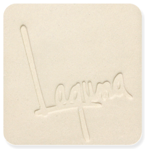 Laguna B Mix Cone 6 Casting Slip