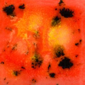 Mayco Jungle Gems Lowfire Brushable Glaze CG-1002 Day Lily