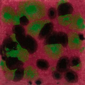 Mayco Jungle Gems Lowfire Brushable Glaze CG-1005 Maroon Lagoon