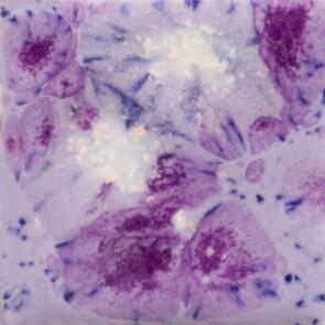 Mayco Jungle Gems Lowfire Brushable Glaze CG-1006 Purple Reign