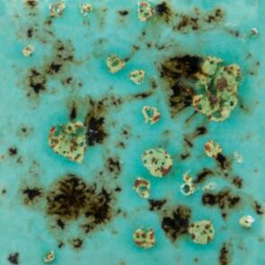 Mayco Jungle Gems Lowfire Brushable Glaze CG-1008 Blue Guppy