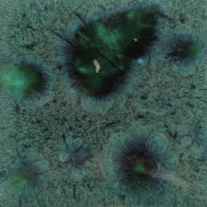 Mayco Jungle Gems  Lowfire Brushable Glaze CG-713 Peacock Green