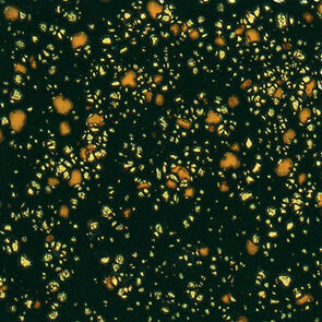 Mayco Jungle Gems  Lowfire Brushable Glaze CG-798 Black Iris