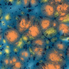 Mayco Jungle Gems Lowfire Brushable Glaze CG-983 Koi Pond