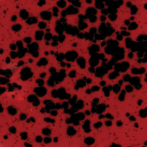 Mayco Jungle Gems Lowfire Brushable Glaze CG-984 Ladybug