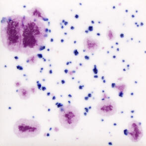 Mayco Jungle Gems Lowfire Brushable Glaze CG-1011 Frosted Berries