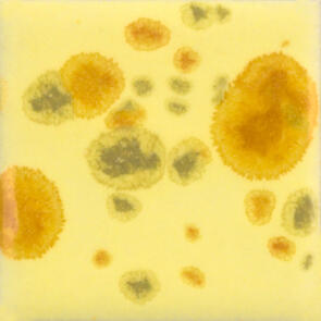 Mayco Jungle Gems Lowfire Brushable Glaze CG-1012 Haystack