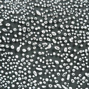 Amaco Crawls Brushable Glaze CR-12 Speckled White