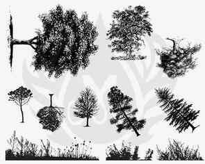 Mayco Designer Silk Screen Botanical Trees & Grass