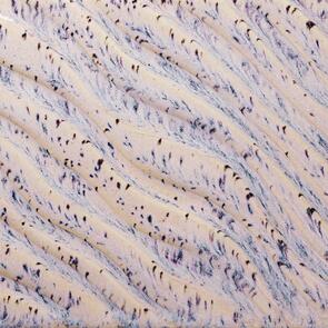 Amaco Potters Choice Flux Midfire Brushable Glaze PCF-16 Aurora Breeze