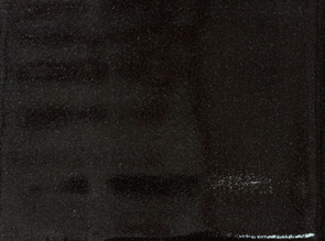 Abbots Midfire Brushable Glaze Reactive Black