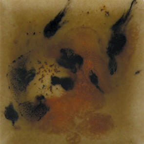 Mayco Jungle Gems Lowfire Brushable Glaze S-2725 Safari