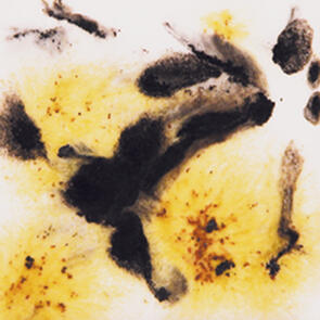 Mayco Jungle Gems Lowfire Brushable Glaze S-2726 Cheetah