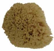 Laguna Rock Island Natural Sea Sponge 10cm