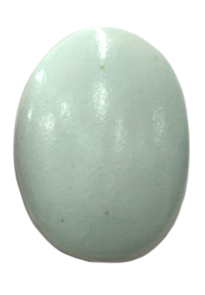 Northcote Brushable Highfire Glaze SG921 Chun Style