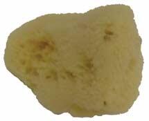 Laguna Silk Sponge Natural Sea Sponge 6cm