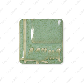Laguna Mystic Dry Powder Glaze WC-106 Layered Fern