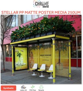 CHROME STELLAR PP 250UM