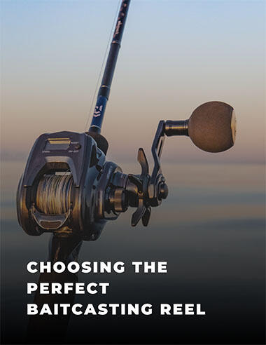 Buying Guides - Baitcaster Reels