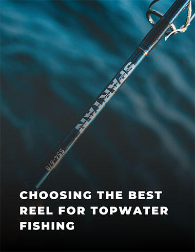 Buying Guide - Fishing Rods