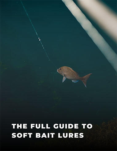 Buying Guides - Soft Baits