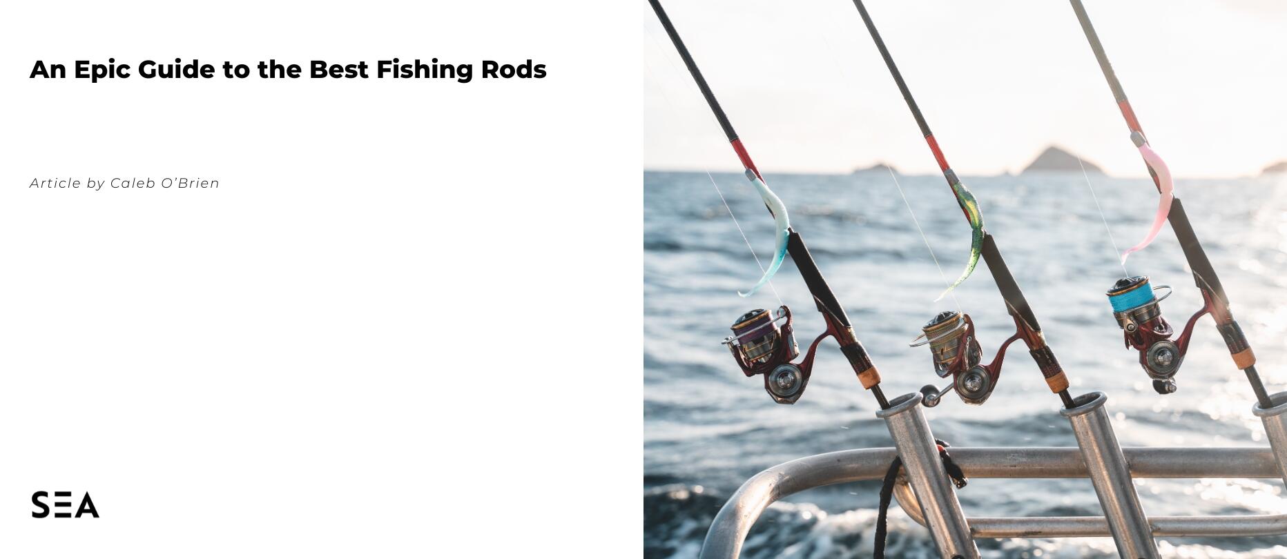 An Epic Guide To The Best Fishing Rods In NZ For 2024