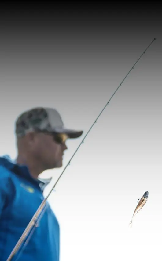 Z-Man Tackle Storage