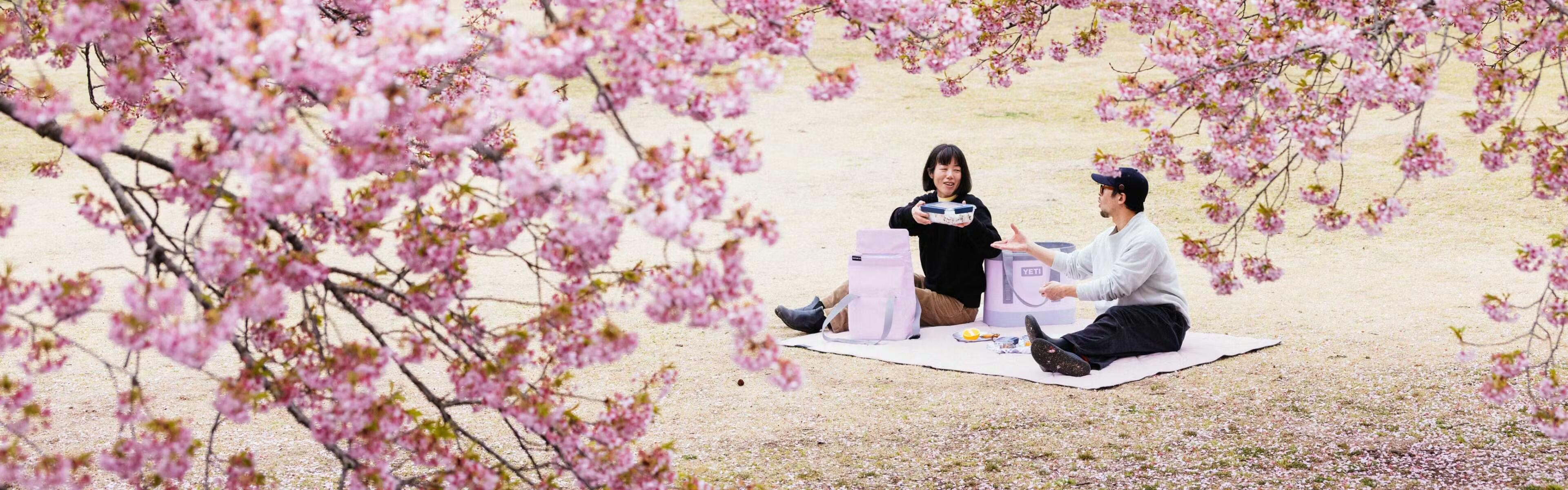 YETI Cherry Blossom Collection