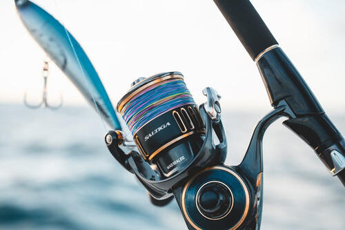 Daiwa 25 Saltiga (G) 18000-H | Land & Sea NZ