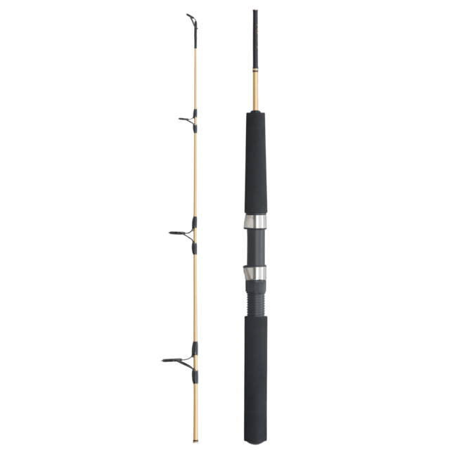 Shimano Fishing Rods | Land & Sea Shimano Fishing Rods | Land & Sea
