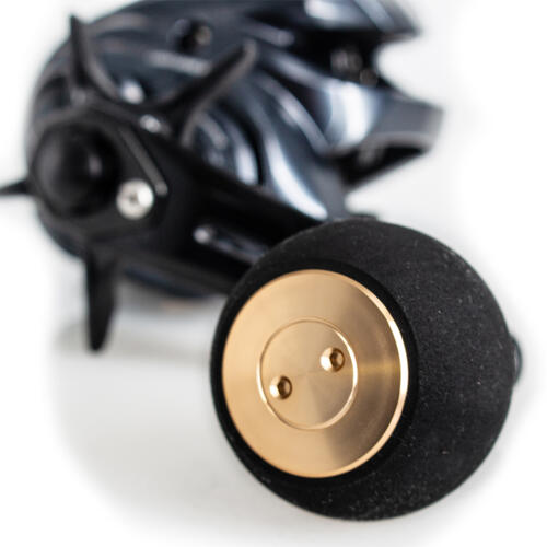 Daiwa Light Game IC 200 Baitcaster Reel | Land & Sea NZ