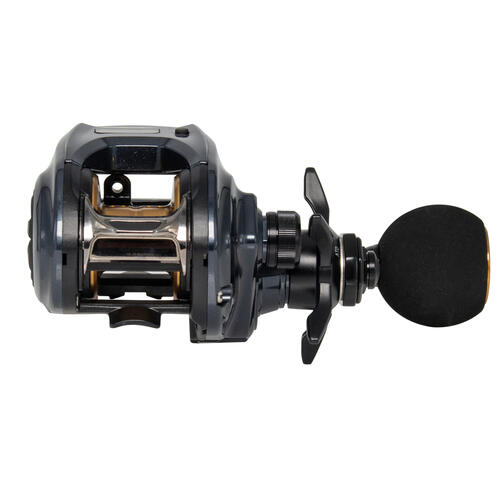 Daiwa Light Game IC 200 Baitcaster Reel | Land & Sea NZ