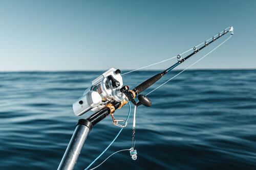 PENN Fathom 80 Electric Reel | Land & Sea NZ