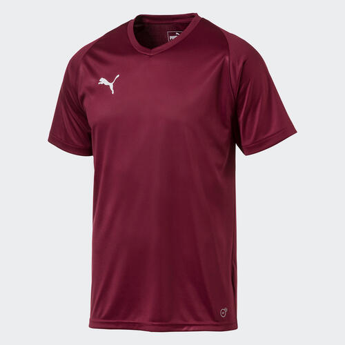 puma liga jersey core