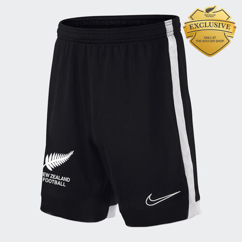 nike shorts and top set junior