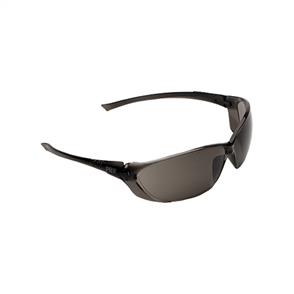 RICHTER Safety Glasses, Smoke 6302