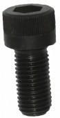 BRIGHTON BEST Cap Screw M12 x 40mm (CA12040)