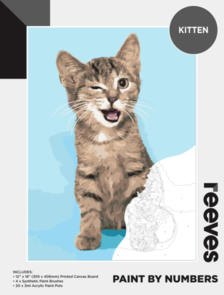 Reeves Paint By Number - Kitten