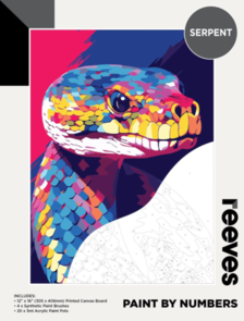 Reeves Paint by Number - Serpent
