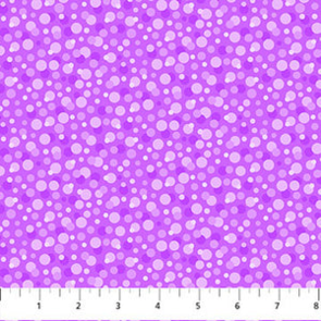 Northcott Pizazz - 10225-83 - Punchy