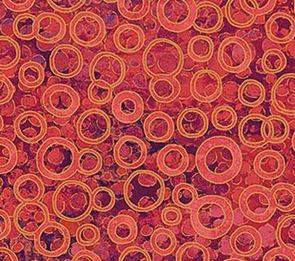 Northcott Deborah Edwards Basics - Shimmer 22992M-26 CORAL REEF