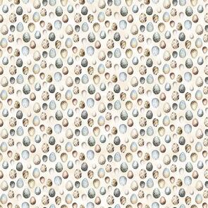 Northcott FEATHERED NEST 24398-11