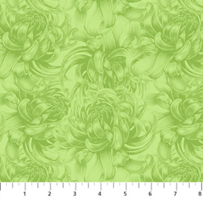 Northcott Morning Blossom - Chrysanthemum - Green