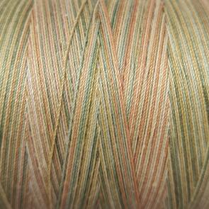 Valdani 35wt Hand Dyed Variegated Sewing Thread 500m