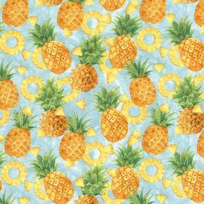 Wilmington MM Fabs Squeeze The Day 1810-42463-457