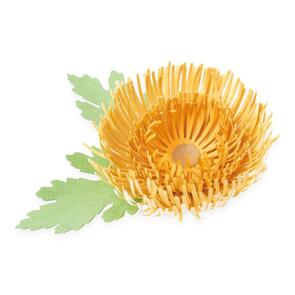 Sizzix Chrysanthemum - 5 pack, Thinlits Die Set