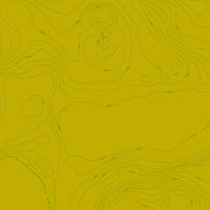 Andover Fabric Alison Glass Sun Prints 2023 - Topography Toad