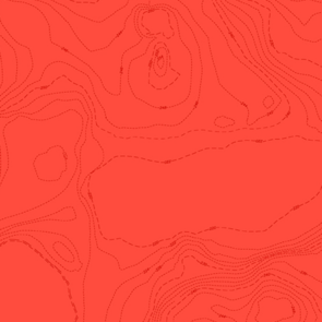 Andover Fabric Alison Glass Sun Prints 2023 - Topography Maple