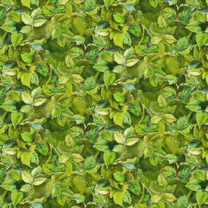 Wilmington MM Fabs Joanne Porter Flowers of the Sun 1419-79279-777